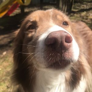 Meet your Posher, Annika